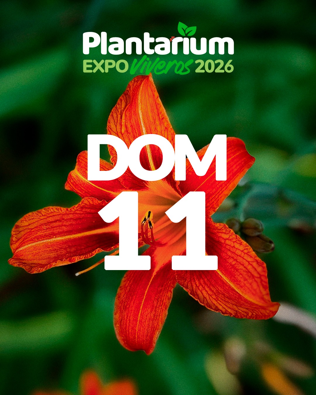 Plantarium ExpoViveros domingo 11 de octubre de 2026