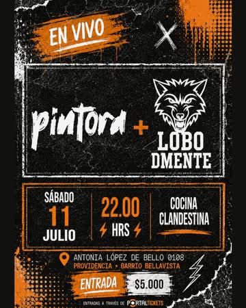Lobo Dmente En Cocina Clandestina